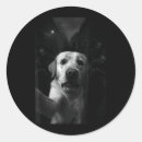 Search for zombie dog stickers Witchy vibes