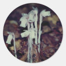 Search for indian stickers Floral