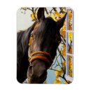 Recherche de fenêtres magnets Animal