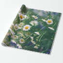 Search for meadow wrapping paper Bright