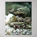 Recherche de truite ruisseau posters Pêche