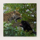 Recherche de jaguar puzzles Taches