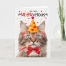 Search for cat fluffy cards Cats