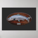 Search for salmon fish posters Atlantic