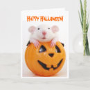 Search for fancy rat cards Cute
