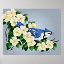 Recherche de bluejays posters Animaux