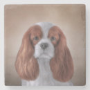 Recherche de chienchien dessous de verres Mignon