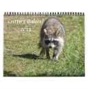 Search for raccoon calendars Groundhog