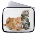 Recherche de chat de minou coques Animal familier