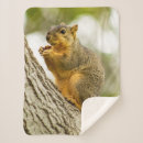 Search for squirrel blankets Country