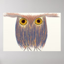 Search for nocturnal posters Birds