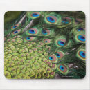 Search for display mousepads Outdoors