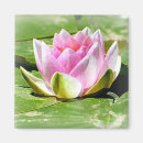 Search for enlightenment kitchen dining Flower