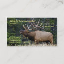 Search for elk business cards Hunting