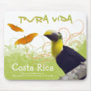 Recherche de toucan tapis souris Jungle