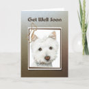 Search for dog get well cards Cute