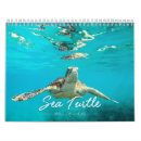 Search for sea turtle calendars Coral