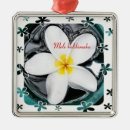 Search for plumeria ornaments Flower