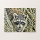 Search for raccoon puzzles Animal