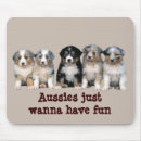 Search for herding dog electronics Aussie