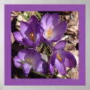 Recherche de sofas posters Fleurs
