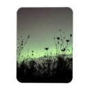 Search for weed magnets Green
