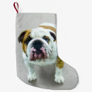 Search for bulldog christmas stockings Puppy