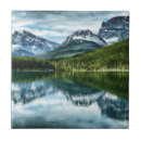 Search for light reflection tiles Nature