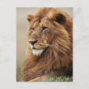 Recherche de grand format cartes postales Gros plan