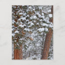 Search for snow tree postcards Lake