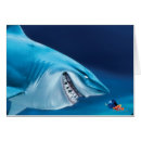 Recherche de nemo cartes postales Bruce