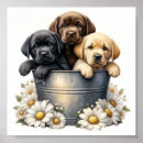 Search for flower pot posters Home