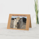 Recherche de bovin vœux cartes Vaches