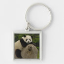 Search for oxford keychains Habitat loss
