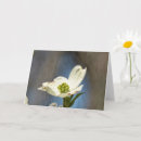 Search for white dogwood cards Flowering tree