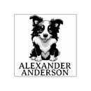Search for border collie cartoons Pet