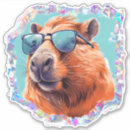 Search for cappy stickers Capybara