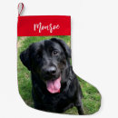 Search for lab christmas stockings Pet