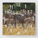 Recherche de zèbre horloges Faune