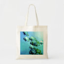 Search for angelfish accessories Tropical