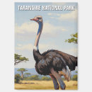 Recherche de autruches magnets Nature