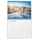 Search for flowers calendars Petunia