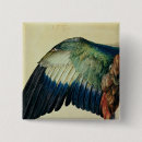 Recherche de aile bleue badges Oiseau