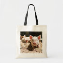 Search for piglet bags Farm animal