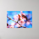 Search for beatiful art Nature