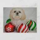 Search for shih tzu christmas cards Small