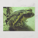 Search for will be toad postcards Reptile
