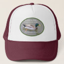 Recherche de le canard casquettes Nature