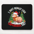 Search for capybara mousepads Meme