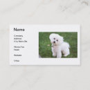 Recherche de bichons cartes visite Frise de bichon